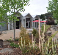 Tin Dragon Interpretation Centre and Cafe - Gold Coast Attractions