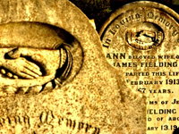 Book Penguin Accommodation Vacations Gold Coast Attractions Gold Coast Attractions