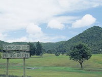 Book Zeehan Accommodation Vacations Gold Coast Attractions Gold Coast Attractions