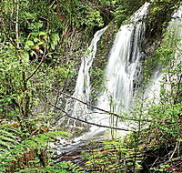 Hogarth Falls - Gold Coast Attractions