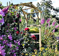 Thelma Retreat Garden and Teahouse - Gold Coast Attractions