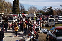 Evandale Market