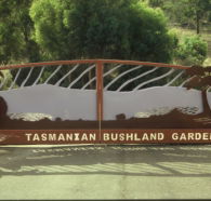Tasmanian Bushland Garden - Gold Coast Attractions