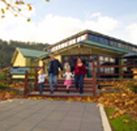 Australian Axeman's Hall of Fame - Gold Coast Attractions