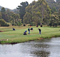Penguin Golf Course - Gold Coast Attractions