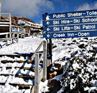 Ben Lomond National Park - Gold Coast Attractions