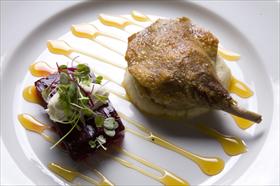  Gold Coast Attractions