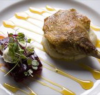 Onred - Gold Coast Attractions