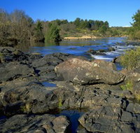 Pine Island to Point Hut Reserve - Gold Coast Attractions