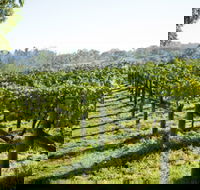 Surveyor's Hill Vineyards - Gold Coast Attractions