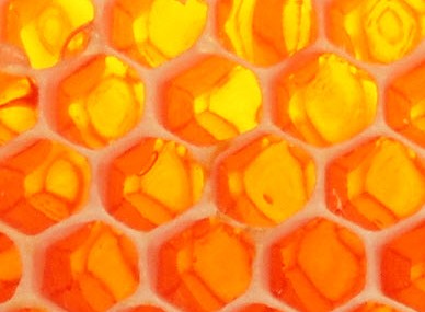 Huonville TAS Gold Coast Attractions