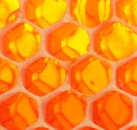 The Honey Pot - Gold Coast Attractions