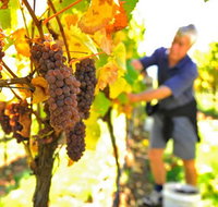 Native Point Wines - Gold Coast Attractions