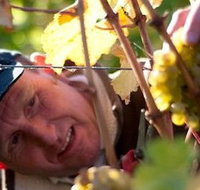 Puddleduck Vineyard - Gold Coast Attractions