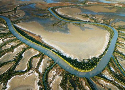 The Wilderness Gallery - Gold Coast Attractions 0