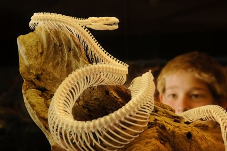 Araluen Cultural Precinct - Gold Coast Attractions 4