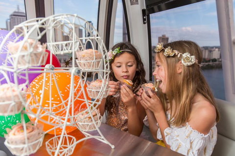 The Wheel Of Brisbane - Gold Coast Attractions 2