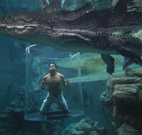 Crocosaurus Cove - Gold Coast Attractions