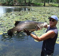 Barra Feeding - Gold Coast Attractions
