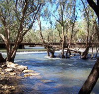 Low Level Nature Reserve - Gold Coast Attractions