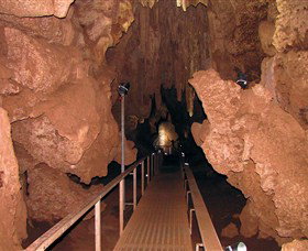 Cutta Cutta Caves Nature Park - Gold Coast Attractions 0