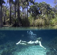 Bitter Springs - Gold Coast Attractions
