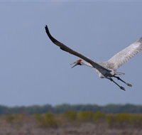 Gayngaru Wetlands Interpretive Walk - Gold Coast Attractions