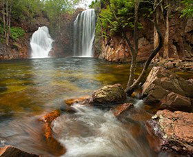 Florence Falls - Gold Coast Attractions 0