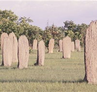 Magnetic Termite Mounds - Gold Coast Attractions