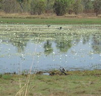 Leaning Tree Lagoon Nature Park - Gold Coast Attractions