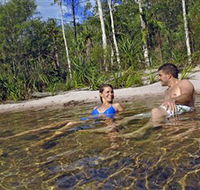 Tjaynera/Sandy Creek Falls - Gold Coast Attractions