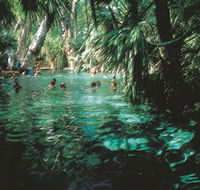 Mataranka Thermal Pool - Gold Coast Attractions