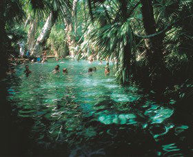 Mataranka Thermal Pool - Gold Coast Attractions 0