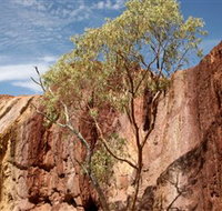 Ochre Pits - Gold Coast Attractions