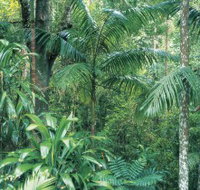 Westside Track Maiala - Gold Coast Attractions