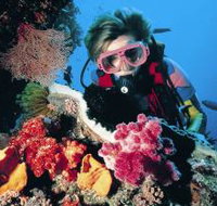 Cook Island Dive Site - Gold Coast Attractions