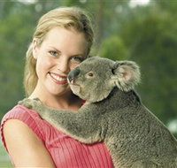 Paradise Country Aussie Farm Tour