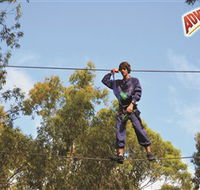 Adventure Parc at Currumbin Wildlife Sanctuary - Gold Coast Attractions