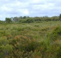 Pine Ridge Conservation Park - Gold Coast Attractions