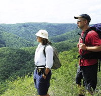 Sunshine Coast Hinterland Great Walk - Gold Coast Attractions