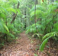 Delicia Road Conservation Park - Gold Coast Attractions