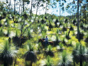 Kilkivan QLD Gold Coast Attractions