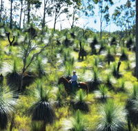 Bicentennial National Trail - Section 5 - Gold Coast Attractions