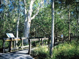 Kinaba Track - Gold Coast Attractions 0