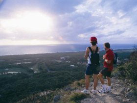 Mount Coolum National Park - Gold Coast Attractions 0