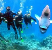 Magic Mountain Dive Site - Gold Coast Attractions