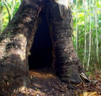 Tewantin National Park - Gold Coast Attractions