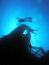Ex HMAS Brisbane Dive Site