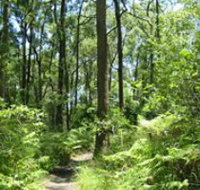 Mapleton Falls National Park - Gold Coast Attractions
