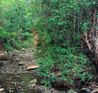 Mudlo National Park - Gold Coast Attractions